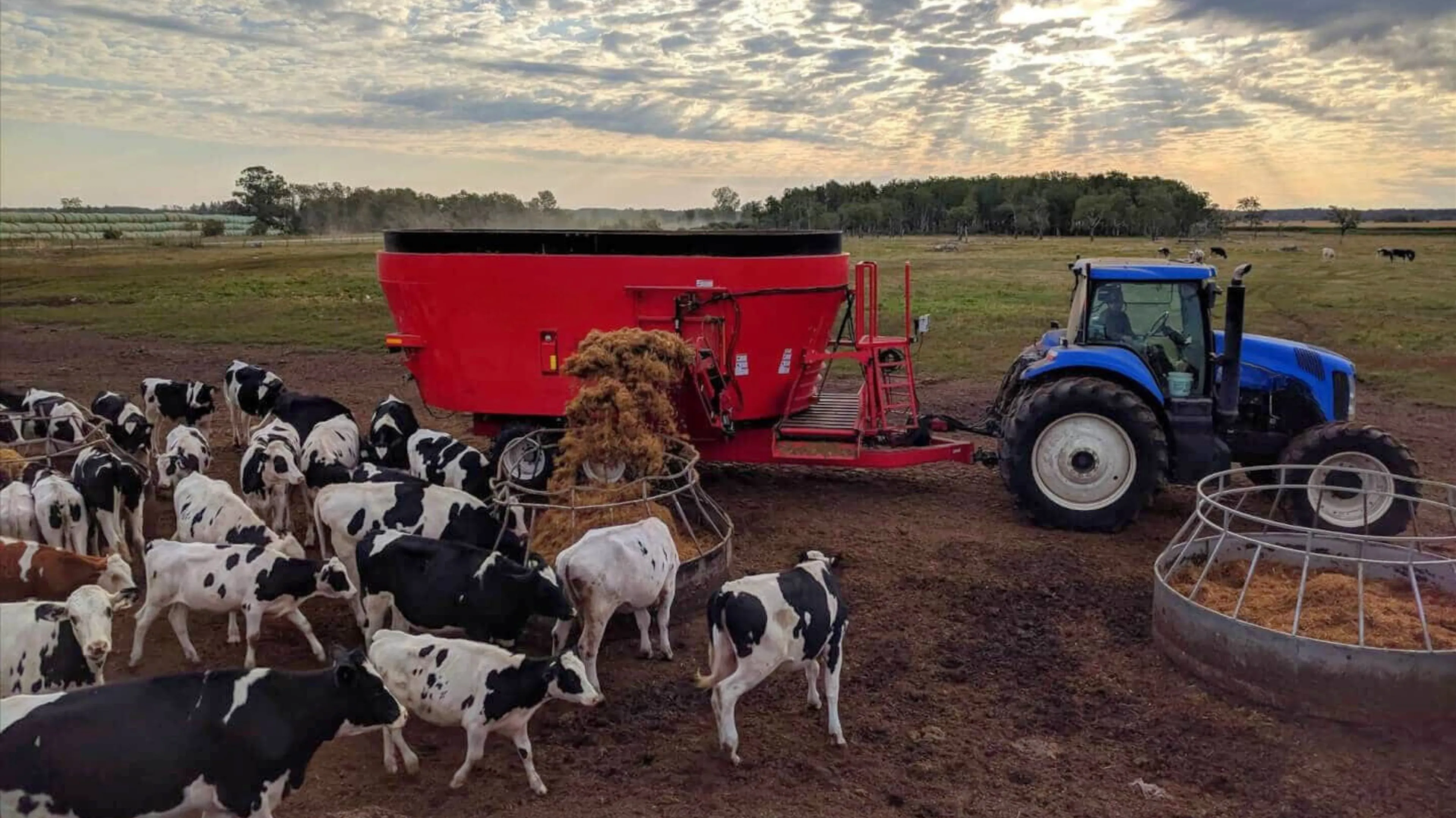 Livestock Farming